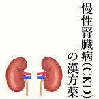 【第2類医薬品】慢性腎臓病(CKD)の漢方薬 1日3回服用 1か月分 漢方薬 慢性腎臓病 薬 漢方 腎臓病 腎臓の薬 お薬 クレアチニン 人口透析 eGFR IgAが気になる ヨクイニン シャクヤク 桂皮 送料無料 電話無料相談・メール相談24時間対応