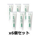 コンクールリペリオ 80g x6個セット 歯科用 【医薬部外品】【ウェルテック】(歯周病予防歯磨き/ハミガキ)