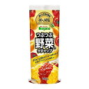 ナガノトマト つぶつぶ野菜入りケチャップ 295g x30個セット