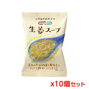 コスモス食品 Nature Future 生姜スープ 10.6g x10個セット