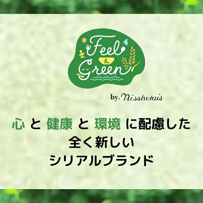 加藤美蜂園 サクラ印 カナダ産ハチミツ 145g×12本入×(2ケース)｜ 送料無料 嗜好品 シロップ ハチミツ 蜂蜜