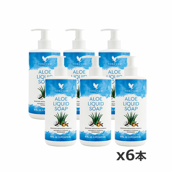 【お買い得！6本セット】FLP フォーエバー リキッドソープ 473mL(ボディソープ 液体 アロエベラ液汁配合 ヤシ油 保湿成分配合 天然由来 全身に)[Forever Living Products] [フォーエバーリビングプロダクツ]