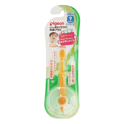 ピジョン 乳歯ブラシ レッスン段階2 9ヵ月頃~オレンジ(赤ちゃん 歯ブラシ はみがき ベビー用品) ピジョン 乳歯ブラシ レッスン段階2 9ヵ月頃~オレンジ(赤ちゃん 歯ブラシ はみがき ベビー用品)