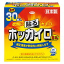 ホッカイロ 貼るミニ 30個入りの商品画像