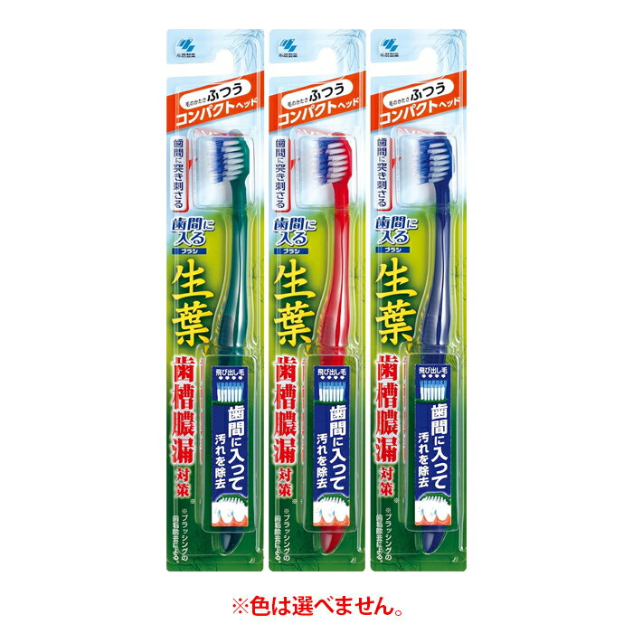 【ゆうパケット配送対象】[小林製薬]生葉 歯間に入るブラシ コンパクト ふつう 1本(歯ブラシ 歯槽膿漏対策 デンタルケア)(ポスト投函 追跡ありメール便)