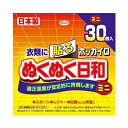 興和 ホッカイロ ぬくぬく日和 貼るミニ 30個入りの商品画像