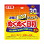 興和 ホッカイロ ぬくぬく日和 貼るミニ 30個入り