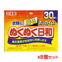 興和 ホッカイロ ぬくぬく日和 貼るレギュラー 30個入り x 8個セットの商品画像