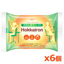 興和 ホッカイロ Hokkairon ホッカイロン 冷房対策用 貼るカイロ レギュラー 10個入りx 6個(エアコン対策 冷え 夏カイロ)