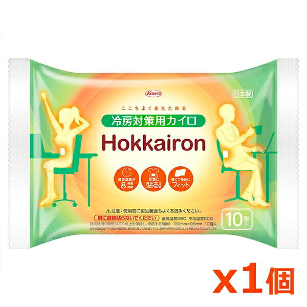 ホッカイロ 貼る レギュラー 10個入