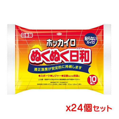 興和 ホッカイロ ぬくぬく日和 貼らないレギュラー 10個入り x 24個セット