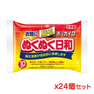 興和 ホッカイロ ぬくぬく日和 貼るレギュラー 10個入り x 24個セット