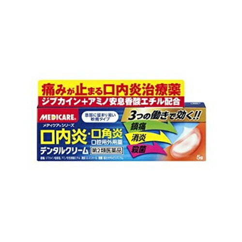 【第2類医薬品】【ゆうメール便！送料80円】デンタルクリーム 5g（口内炎 口角炎）