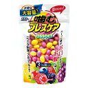 小林製薬 噛むブレスケア 息リフレッシュグミ アソート パウチタイプ お得な大容量 100粒(4)