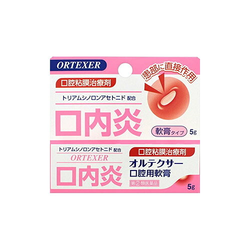 【ゆうパケット配送対象】【第(2)類医薬品】オルテクサー 口腔用軟膏 5g[福地製薬]【SM】(ポスト投函 追跡ありメール便)