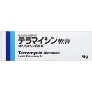 【ゆうパケット配送対象】【第2類医薬品】テラマイシン軟膏a(ポリミキシンB含有) 6g(とびひ めんちょう 毛のう炎 化膿性皮膚疾患)(ポスト投函 追跡ありメール便)