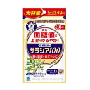 【ゆうパケット配送対象】小林製薬のサラシア100 大容量 120粒(小林製薬)(ポスト投函 追跡ありメール便)