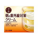 50の恵 朝の紫外線対策クリーム 90g(日焼け止め)(ロート製薬)