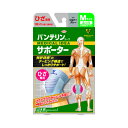 【ゆうパケット配送対象】バンテリンコーワ サポーター ひざ専用 シルバーグレー ふつうサイズ(1枚入)ひざ頭周囲34~37cm(ポスト投函 追跡ありメール便)
