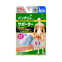 【ゆうパケット配送対象】バンテリンコーワ サポーター ひざ専用 シルバーグレー 大きめサイズ(1枚入)ひざ頭周囲37~40cm(ポスト投函 追跡ありメール便)