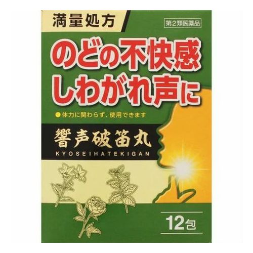 【ゆうパケット配送対象】【第2類医薬品】ジェーピーエス製薬 響声破笛丸エキス顆粒G 12包(ポスト投函 追跡ありメール便)