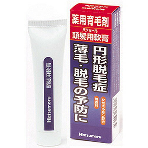 【ゆうパケット配送対象】ハツモール頭髪用軟膏 25g 【医薬部外品】[強力ベハールングS][田村治照堂] ポスト投函 追跡ありメール便 