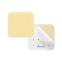 アルケア(ALCARE) 医療用品 セルケア・ウエハー CMC・柑橘ペクチン系ウエハー状皮膚保護剤 18391 10号 5枚※お取り寄せ商品です。ご注文後のキャンセル不可・返品不可