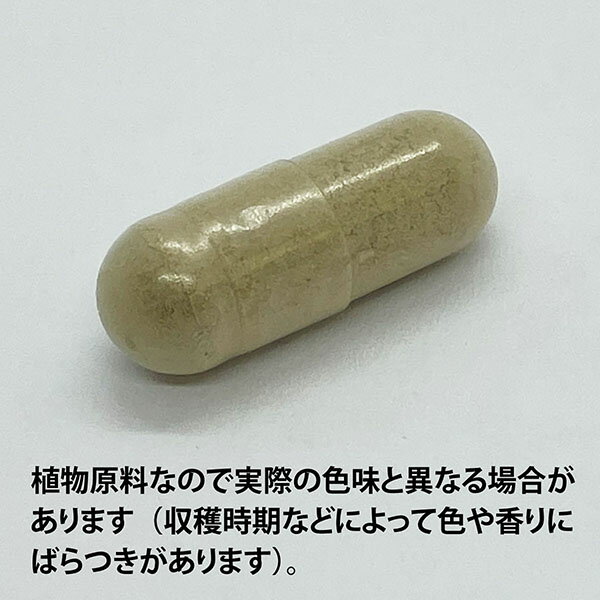 ECLECTIC ゴツコーラ(センテラ、ツボクサ)200mg×90カプセル FFD90(足のむくみサポートに)E442(健康食品 ハーブエキス サプリメント)※お取り寄せ1週間程度かかります 2