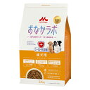 森乳サンワールド スーパーゴールド おなかラボ(成犬用) 2.4kg(ドッグフード 犬用 わんこごはん)