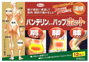 【ゆうパケット配送対象】【第2類医薬品】興和新薬 バンテリンコーワパップホット 12枚 【SM】（湿布薬 湿布 温感タイプ 肩こり 腰痛 筋肉痛 間接痛）(ポスト投函 追跡ありメール便)