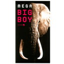 オカモトメガビッグボーイ （MEGA BIG BOY）12個入り コンドーム 避妊具 避妊