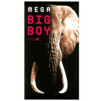 ▼クーポン配布中▼オカモトメガビッグボーイ （MEGA BIG BOY）12個入り コンドーム 避妊具 避妊