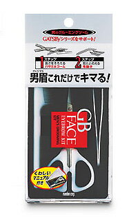 楽天健康エクスプレス【ゆうパケット配送対象】GATSBY（ギャツビー）GBアイブローキット （男性用 メンズ スキンケア コスメ）（ポスト投函 追跡ありメール便）