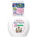 ライオン キレイキレイ薬用 泡 ハンドソープ 本体ポンプ250ml(液体石鹸 石けん せっけん 薬用ハンドソープ)