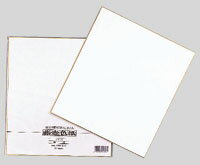 色紙 [シキシ-5] 1枚