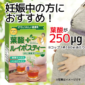 葉酸ルイボスティー　2g×24包入 葉酸 妊活 赤ちゃん 妊娠 プレママ ノンカフェイン 茶 お茶 ティー ルイボスティー 妊娠初期 授かり 3,000円以上のご注文で 送料無料 昭和製薬 健康茶