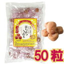 ムソー 有機ねり梅 100g