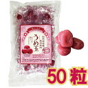 【メール便cp 1通(2袋まで)198円】 うめ玉 50粒 紀州 南高梅 和歌山 梅肉 熱中症 対策 楽天ランキング1位獲得 梅玉50