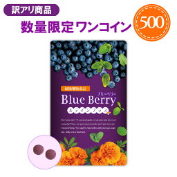 【 在庫処分につき60％OFF 】ブルーベリー サプリ ルテイン ワンコイン 訳アリ 賞味期限10月 アントシアニン ポリフェノール アスタキサンチン 配合【 公式 】 渡邊薬品 ビルベリー 凝縮 濃縮 眼 目 日本製 健康食品 富山 とやま 60粒 1ヶ月分 1袋 国産