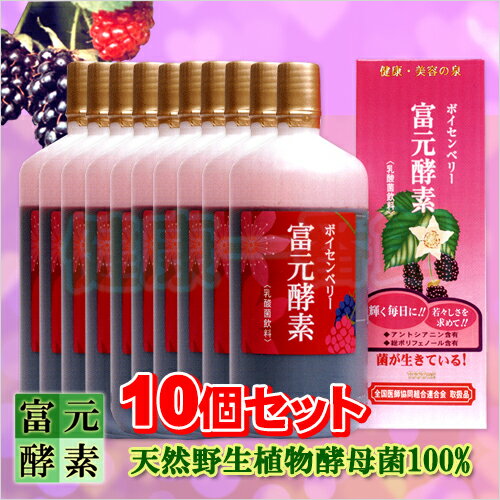 富元酵素(ふげんこうそ)ボイセンベリー1000ml×10個セット【酵素科学研究所】【送料無料】超解離水500ml×6本付