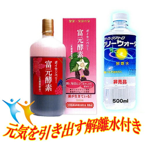 【送料無料富元酵素(ふげんこうそ)ボイセンベリー1000ml×5個セット超解離水500ml×5本付