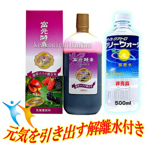 【送料無料抗酸化デラックス 1000ml×10個セット超解離水500ml×10本付