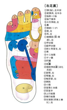 【官足法 プチマット】コンパクトな携帯マット足裏マッサージ器