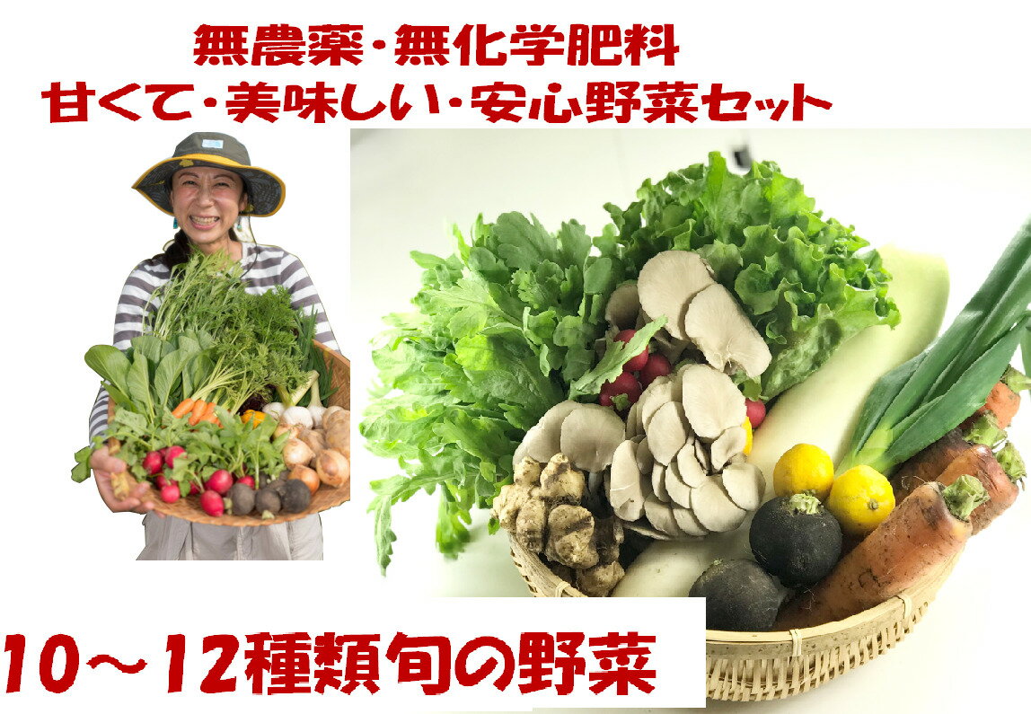 無農薬野菜　10〜12種類の旬の野菜セット！