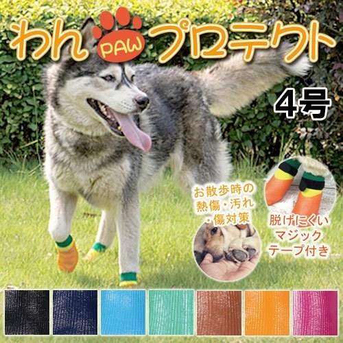 ペット健康便の◇アライブ わんPAWプロテクト ベーシック 4号 ブラック｜アングル2