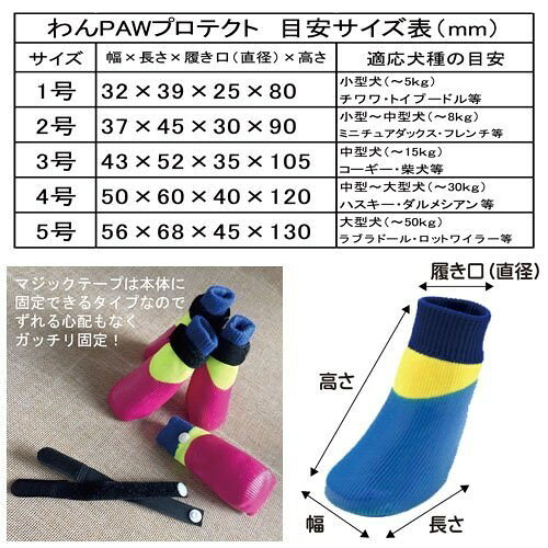 ペット健康便の◇アライブ わんPAWプロテクト ベーシック 4号 ブラック｜アングル3