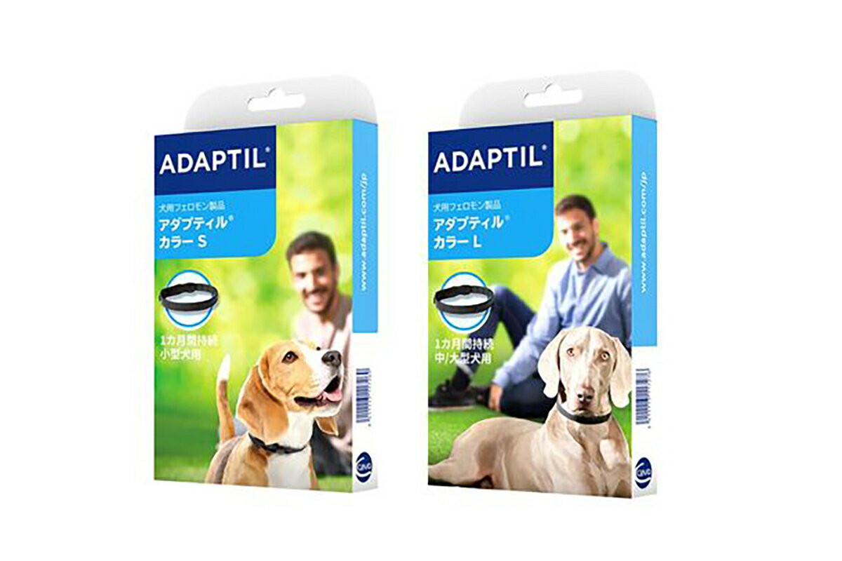 セバ・ジャパン アダプティル アダプティルカラー 犬用 S