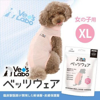 ◇Vets Labo ベッツラボ 犬用 ベッツウェア 女の子用 ピンク XL 1枚