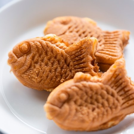 �����𥳡��ݥ졼����� �ѥƥ����� ����Ƥ� 16g