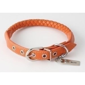 ◇アドメイト Maniera(マニエラ) カラー SS オレンジ